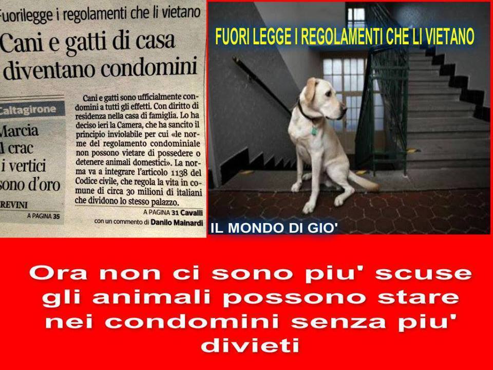 cani e gatti condomini 